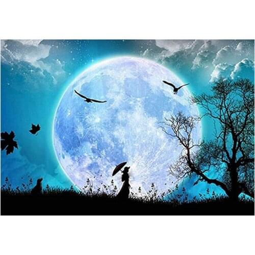 5D DIY Diamond Painting Kits for Adults Kids Art Crafts for Home Decoration Room Gift Walk Under the Moon