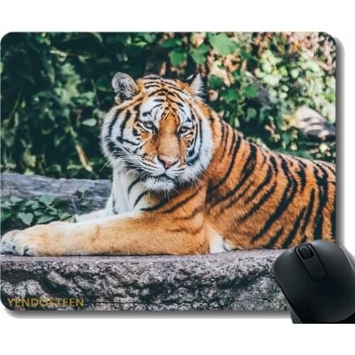 Mouse Pad With Locking Edge,Tiger Predator Lies Big Cat 113363 Mouse Pads