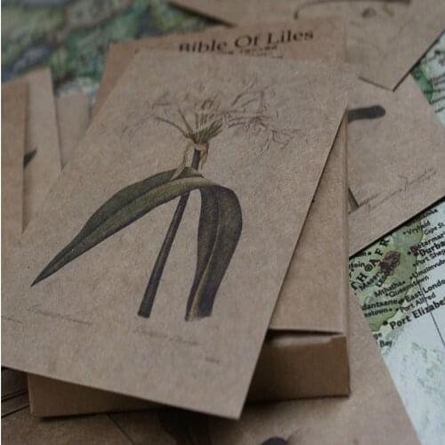 30pcs/lot Plant Art Hand-painted Birthday Invitation Postcard Greeting Card Kraft Paper Retro Vintage Style Old Memories of card