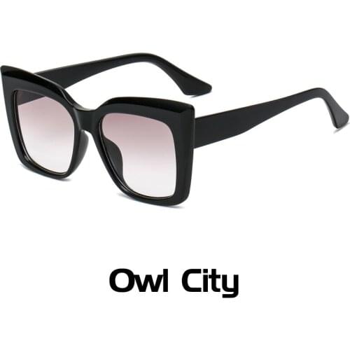 Cat Eye Vintage Sunglasses Women Men Big Frame Retro Brand Designer Sun Glasses Female Male Eyewear Steampunk Oculos De Sol