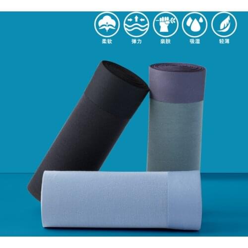 Original Graphene Men Underwear Panty Man Boxer Shorts AAA Winter Ice Silk Panties Mens Breather Underpants 2pcs/Lot