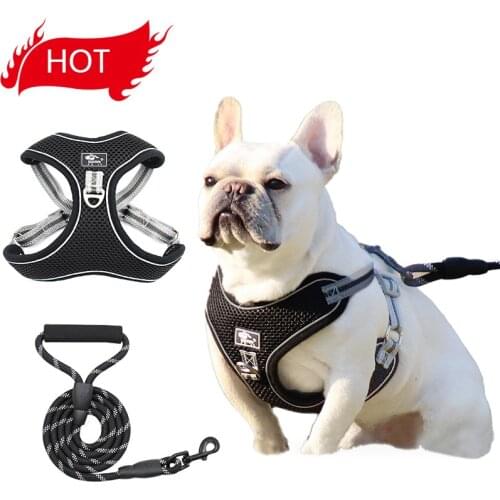 Nylon Mesh Dog Harnesses Vest Reflective Large Dogs Harness and Leash Set Breathable Walking Lead Leashes For Dogs Pet Supplies