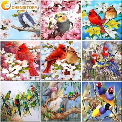 CHENISTORY Diy Painting By Numbers Kits For Adults Kits Parrot Oil Picture Bird Handpainted Coloring By Numbers Gift Decor Art