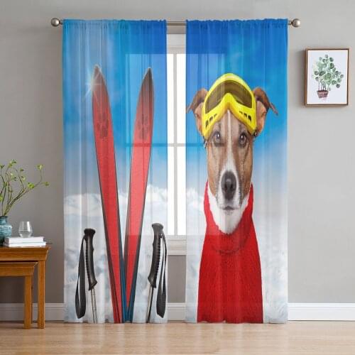 Red Sweater Dog Snowboard Sheer Curtains for Living Room Tulle Curtain for Bedroom Kitchen Window Voile Curtains