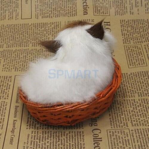 Cute Realistic Small Sitting Cat with Frame Real Fur Furry Animal