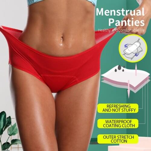 2pcs Leak Proof Menstrual Period Panties Women Underwear Physiological PantsFour-Layer Organic Cotton Widen Fiber High Waist