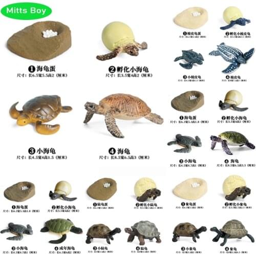 Simulation Ocean Animal Model Toy Action Figures Tortoise Sea Turtle Land Turtle Educational Toy Simulation for Children Figure