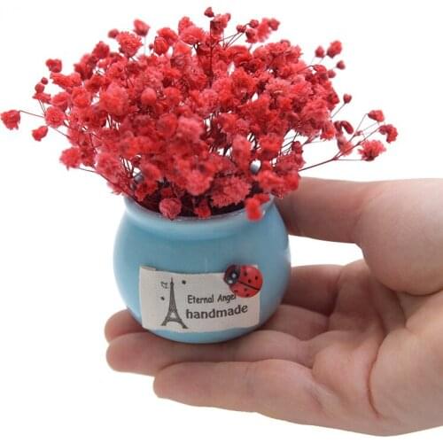 Eternal Flower Gypsophila Dry Flower Mini Car Aromatherapy Car Potted Decoration Gift Souvenir Home Wedding Decoration