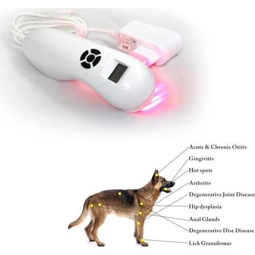 NEW 650nm and 808nm Cold LASER THERAPY Arthritis Soft Tissue Injuries Sprain Diminish Inflammation Pain Relief Therapy