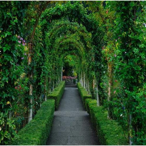 TR 5x7ft Photo Backgrouns Grass Flowers Green Vines Door Arch Path Brick Road Photography Studio Backgrounds Wedding Photo Shoot