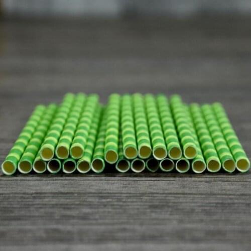 ECO Friendly Bamboo Paper Drinking Straws Disposable Drinking Paper Straws For Bar Birthday Wedding LX7659