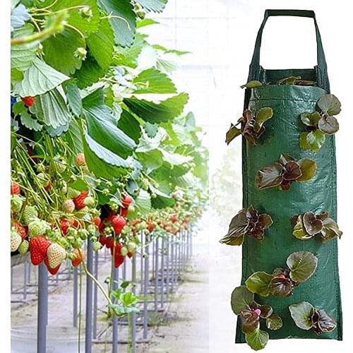 Hanging Multi-mouth Strawberry Bag Planter PE Fabrics Pot Non-Woven PE Gardening Tool Container Multi-port Green Grow Bags