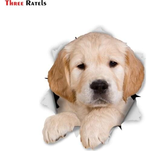 Three Ratels FTC-1063 3D Golden Retriever Pup Sticker Decal For Car Luggage Skateboard Motorcycle Laptop Waterproof Wall Sticker
