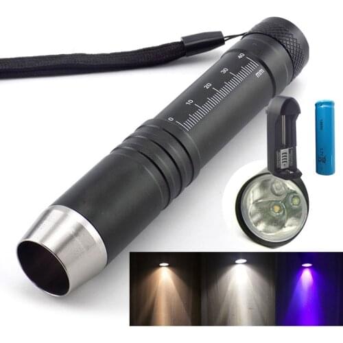 395nm flashlight Jewelry jade glare Lighting 3 IN 1 UV Led Lamp Torch Flash light blacklight white yellow 18650 AC Charger