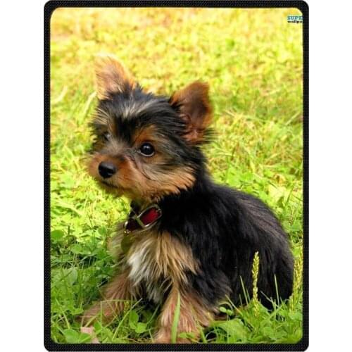 Fashion Yorkshire Terrier Pattern Summer Air Conditioner Blankets Soft Coral Fleece Throw Blanket Winter Bedding