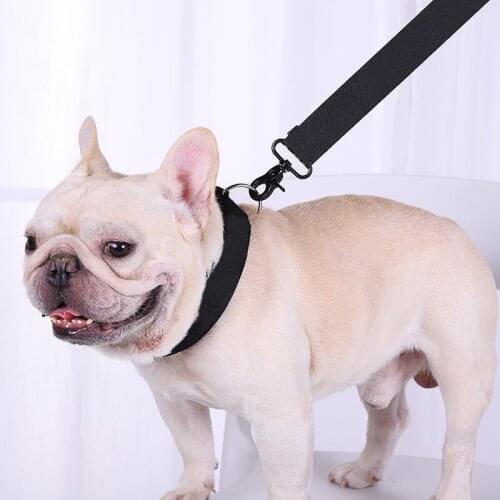 Personalized Pet Dog Collar and Leash Set Puppy Customized Collares De Perro French Bulldog Accessories PDCA238