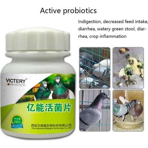 Pigeons, parrots, diarrhea, diarrhea, diarrhea, green stool, will not eat probiotic tablets 200 tablets, general for birds