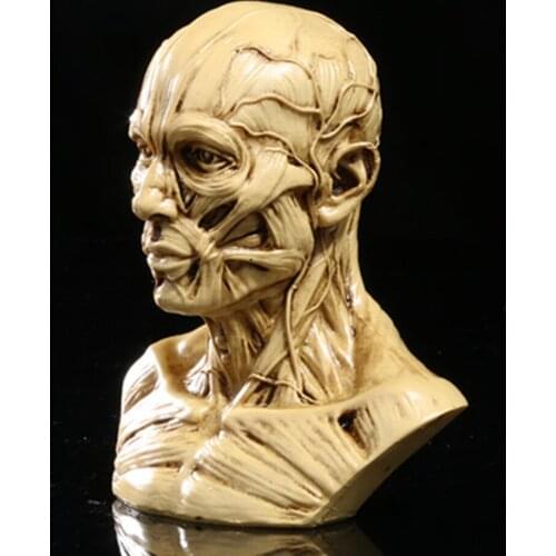 Muscle skull resin skull simulation skulls medical mannequin bust with high precision personalized Home Decoration 10*8.5*6cm