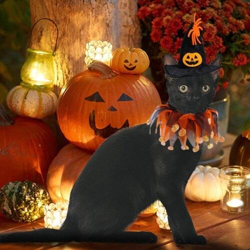 Halloween Pet Hat Collar Set Dress Up Cap Pet Fun Headdress Cosplay Accessories For Cat Dog TS2 Habitat Décor