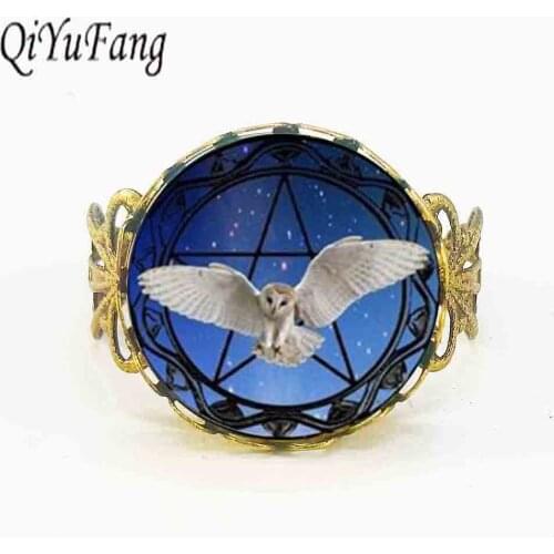 Owl and Pentagram Star Background Photo Glass Dome Ring Star steel Owl gift mens vintage gifts fly white rings punk fashion
