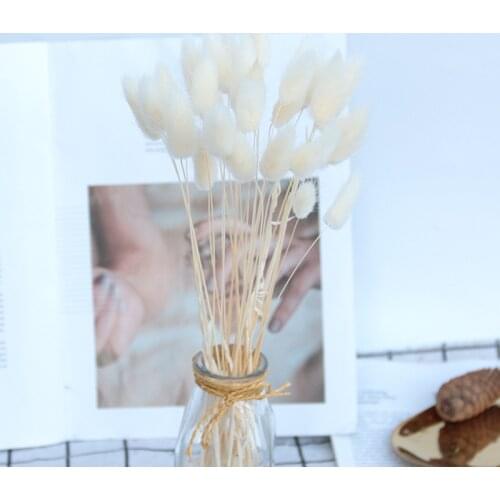 30PCS 50cm Dried Flower Bunny Tail Natural Plants Rabbit Grass Bouquet Home Decoration Accessories Photography Props Floral