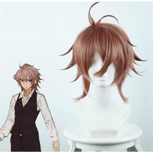 Fate/Apocrypha Hero Chigurh Mixed Smoke Brown Anti-upturned Cosplay Anime Wig
