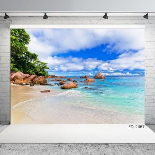 Beach Stones Blue Sky Vinyl Photographic Backgrounds Computer Printed Photocall for Baby Wedding Photo Studio Photo Shootings