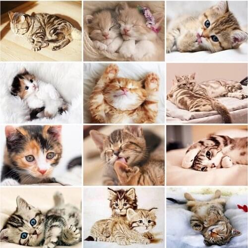 5D Diy Diamond Painting Cute Kitten Cross Stitch Diamond Embroidery Cat Animal Rhinestones Pictures Handmade Mosaic Home Decor