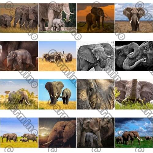 Diy Diamond Painting Elephant Animal Square Diamond Round Diamond Decoration Customizable Wall Art Decoration Frameless Style