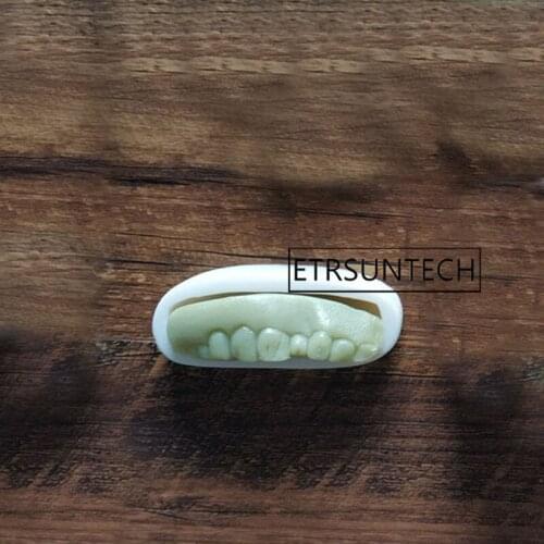 100pcs Halloween Tooth Shape Silicone Chocolate Jelly Candy Tools Cake Decoration Molds DIY Baking Tools