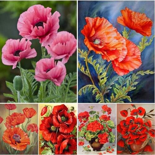 5D DIY Diamond Painting Full Square/Round Drill Poppy Flower Cross Stitch Kit Embroidery Mosaic Picture Of Rhinestones Decor