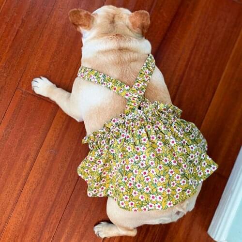 2021 Summer Pug Dog Clothes French Bulldog Dress Poodle Schnauzer Pet Clothing Frenchies Dog Costumes Dresses Welsh Corgi Skirt