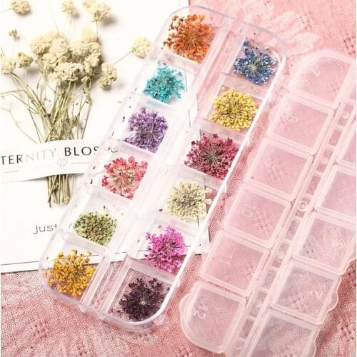 Nail Art Decoration Dried Flowers 3D Dried Flowers Tool Set Supplies Plant Petals for Nail Jewelry 12 Color Dried Flower Patches
