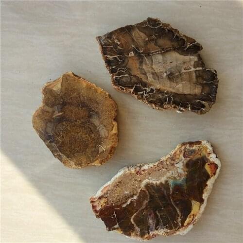 DHX SW 3pcs rare beautiful polished petrified wood slab from Madagascar natural fossilized wood mineral specimen gift collection