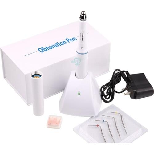1set Charging Hot Melt Filling System Dental Cordless Teether Obturation System Endo Heater with 4 tips