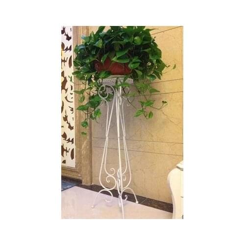 Wrought iron flower floor a few indoor single money plant flowerpot wearing white flower of bracketplant of the sitting room