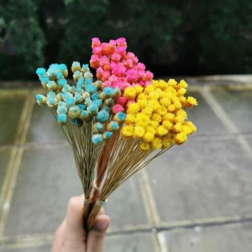 50pcs/lot,Natural Dried Mini Happy Flowers,Display Flower DIY wedding Party christmas Home Decoration accessories,mini flowers