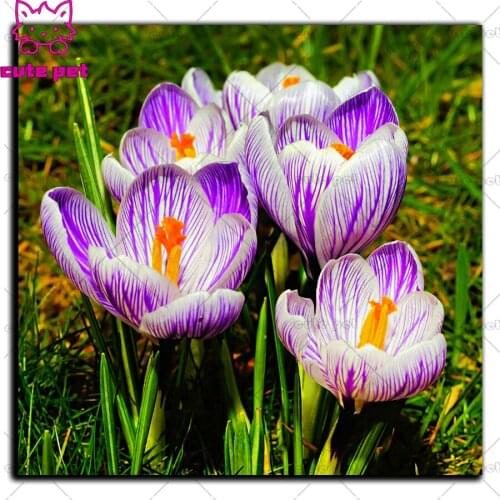 New 5D Plant flowers DIY Full square Diamond Painting Mosaic puzzle Diamond Rhinestone Embroidery Cross Stitch still life decor