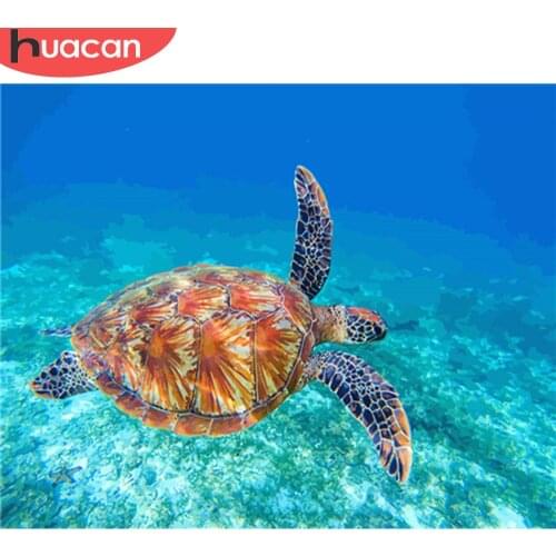 HUACAN Painting By Numbers Sea Turtle Acrylic Paint By Numbers Kit DIY Wall Art Pictures Home Decor