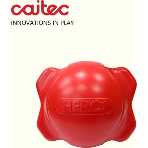 CAITEC Dog Toys Squeaking Ball Soft Floatable Springy Suitable for Tossing Chasing 4 Sizes for Small to Large Dogs