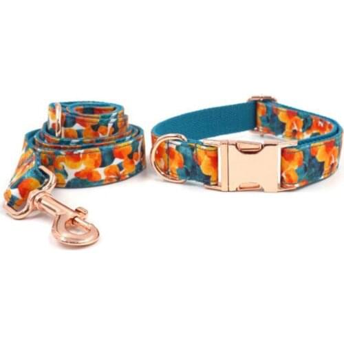 Personalized pet collar dog cat ID card adjustable custom name basic dog collar leash suit