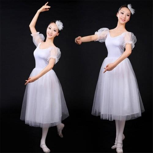 Classical Professional White Swan Lake Ballet Costume Romantic Ballet Tutu Ballet Dresses For Performance Adult Long Tutu