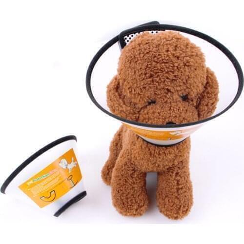 Одежда и обувь для собак Elenxs China At AliExpress