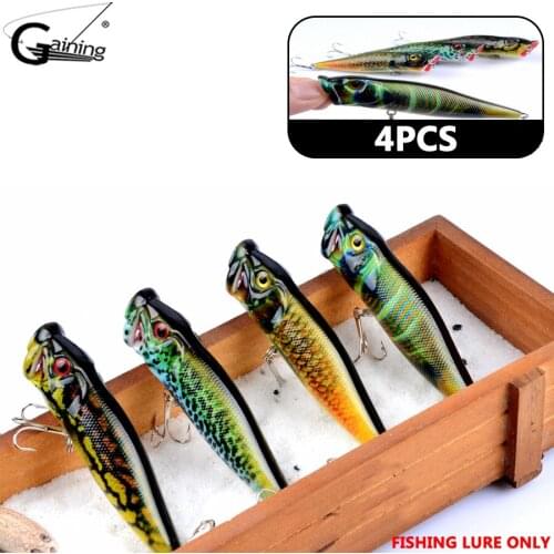 Gaining Fishing Lure For Carp