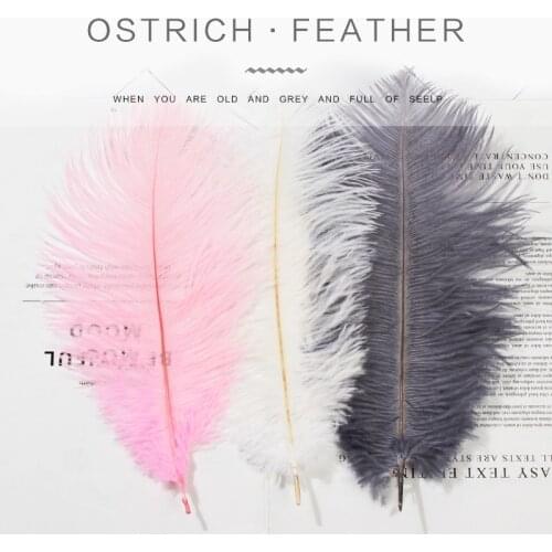 Ostrich Feather Photography Background Props Decoration 10~25cm White Pink Feathers for Bracelet Ring Jewelry Lipstick Cosmetic