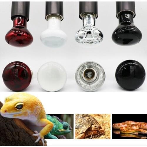 Reptile Heating Lamb Amphibian Bird Snake Lamb Red Light Night Warm Heating Insulation Lamp for Lizards Turtles Animal Lighting