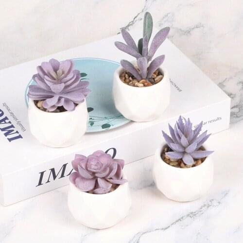 ES1157-11 Simulation Succulent Bonsai Table Decoration Plant Bonsai Simulation Green Plant Mini Succulent Potted Plants Plants