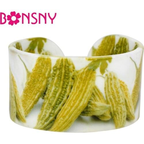 Bonsny Acrylic Novelty Balsam Pear Bangles Bracelets Craft Farm Vegetable Fruit Jewelry For Women Girls Trendy Gift Accessories