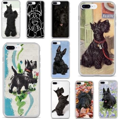 For Samsung Galaxy A10 A30 A40 A50 A60 A70 a12 a31 a41 a51 a71 a20e a21s M30 Black Scottish Terrier Dog Puppy TPU Silicone Case