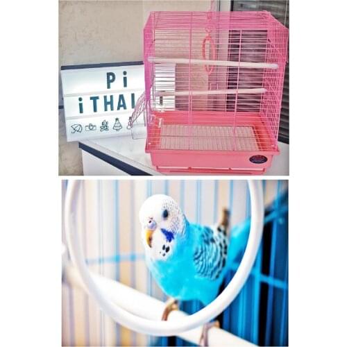 Budgie Cage-Pink (Dayang)